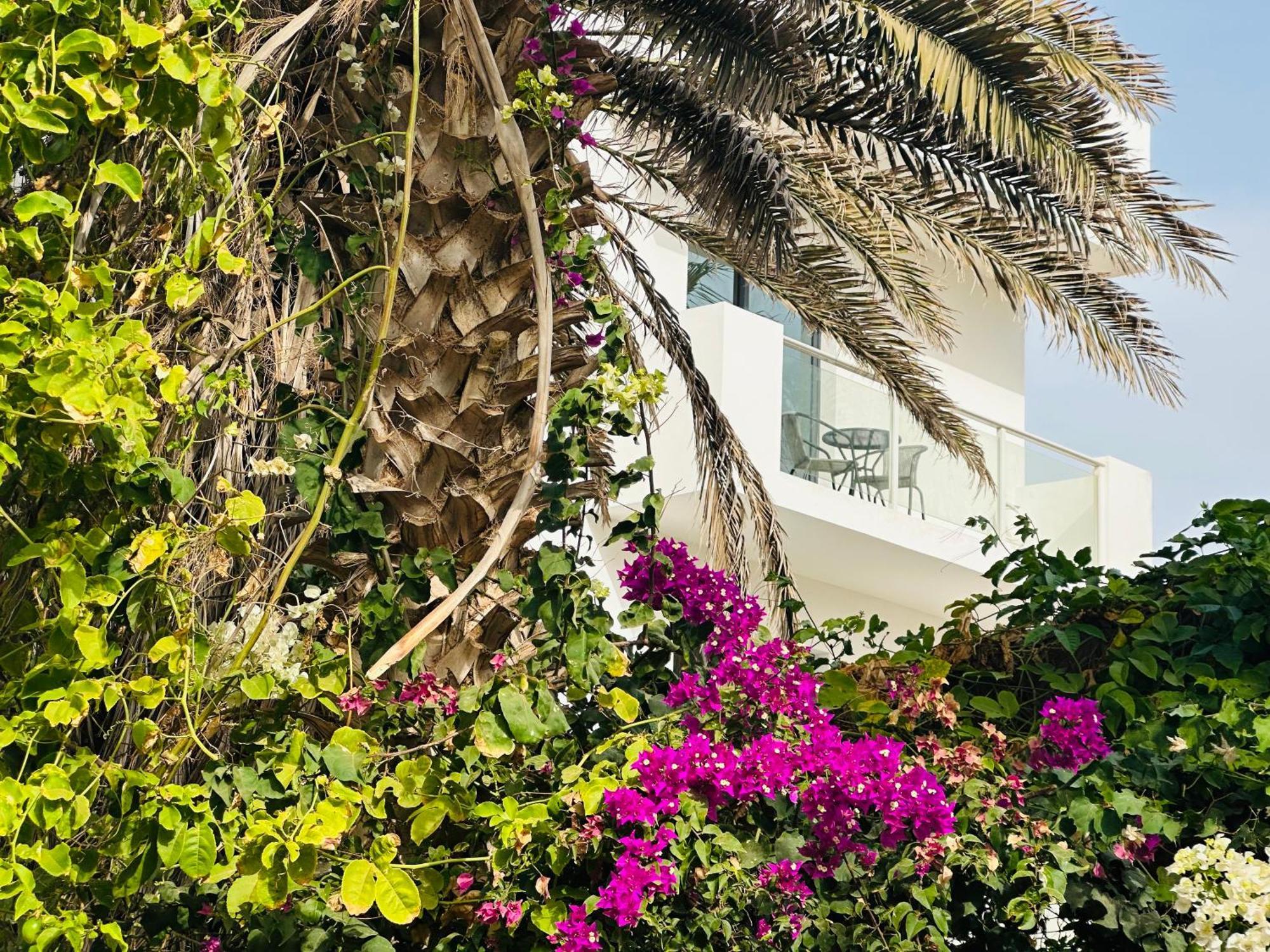 Atlantic Sal Design Apartments Santa Maria Exterior foto